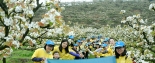 相約花海 樂(lè)享自然 明一國(guó)際集團(tuán)員工建寧生態(tài)之旅