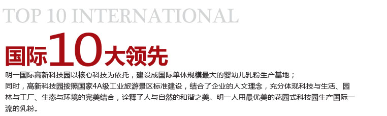 十大國際領先