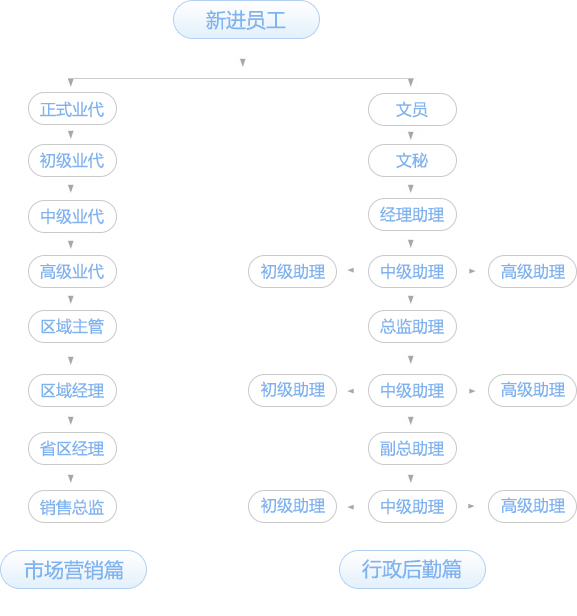 人才理念
