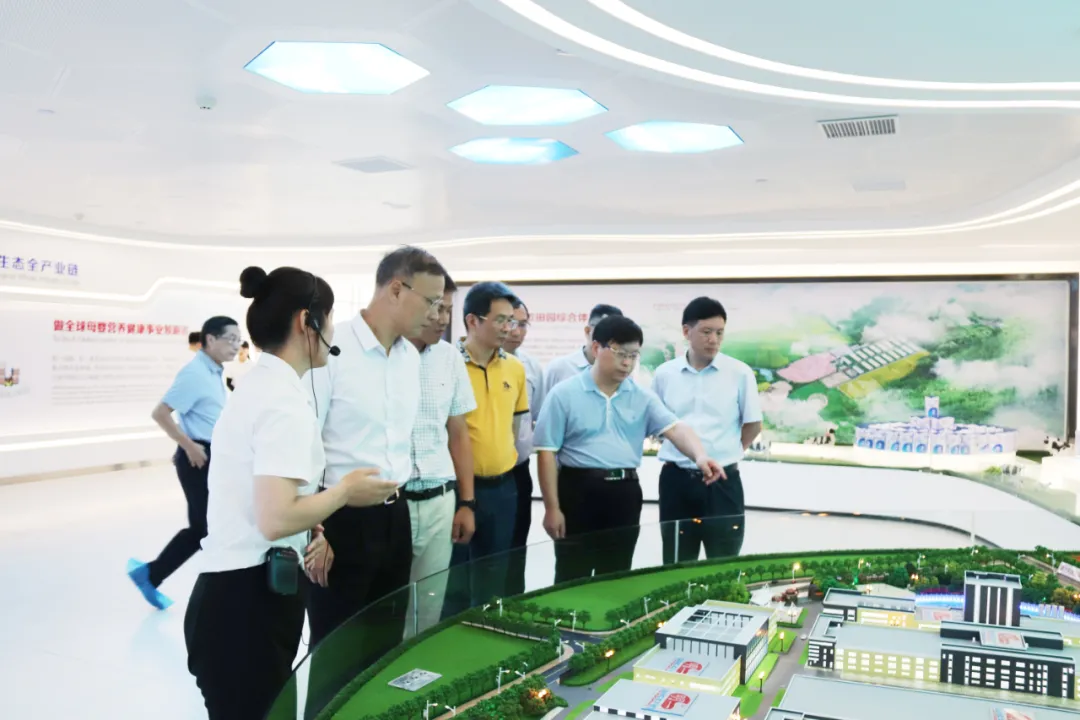 福建省政協副主席張兆民一行走進明一國際建寧生態高新科技園調研指導